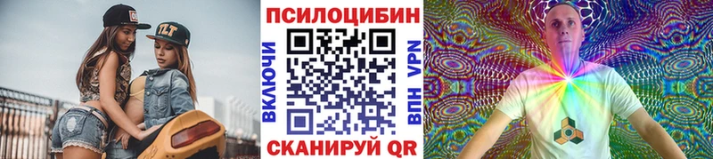 купить   это как зайти  Галлюциногенные грибы Psilocybe  Ессентукская 